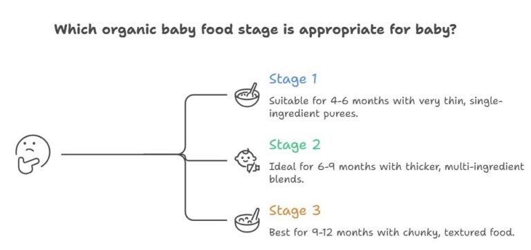 Organic Baby Food Stages What They Mean in Practice