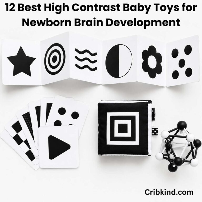 Best high contrast baby toys for newborn brain development laid flat on white background including black and white board book, flash cards, and crinkle book