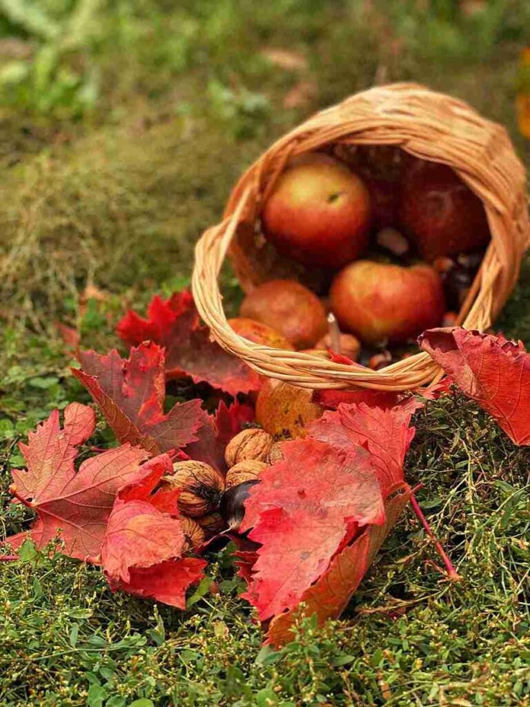 fall sensory bin for kids activity