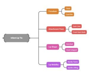 Infant lip tie symptoms: tight upper lip frenulum, poor latch, clicking during breastfeeding, slow weight gain in babies
